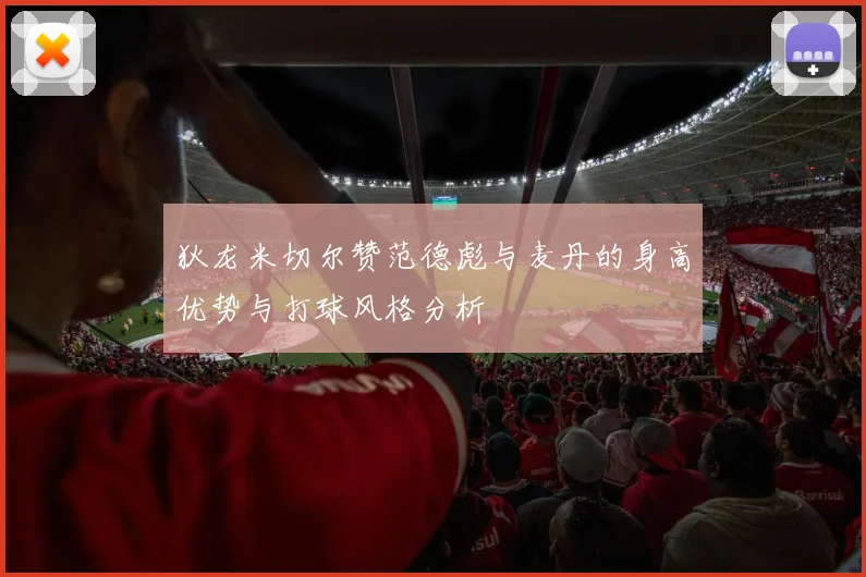狄龙米切尔赞范德彪与麦丹的身高优势与打球风格分析